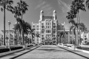Don Cesar Custom Art