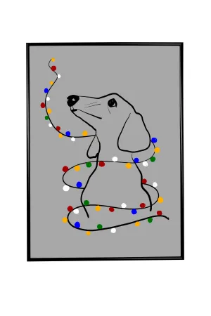 Festive dog