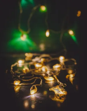Handmade LED String Lights Blue Yellow Lily Bougainvillea