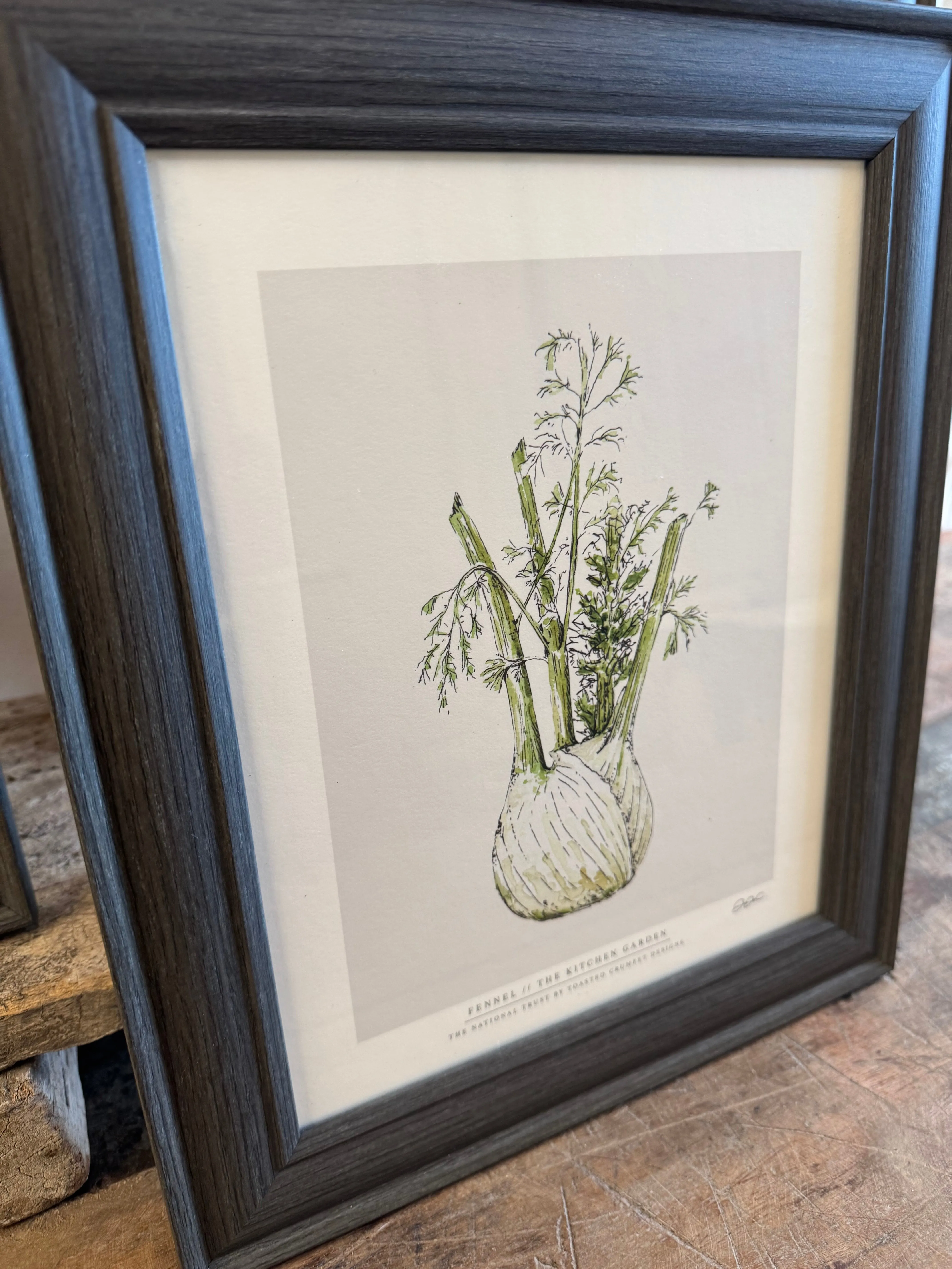 Kitchen Garden Fine Art Print