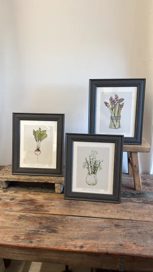Kitchen Garden Fine Art Print