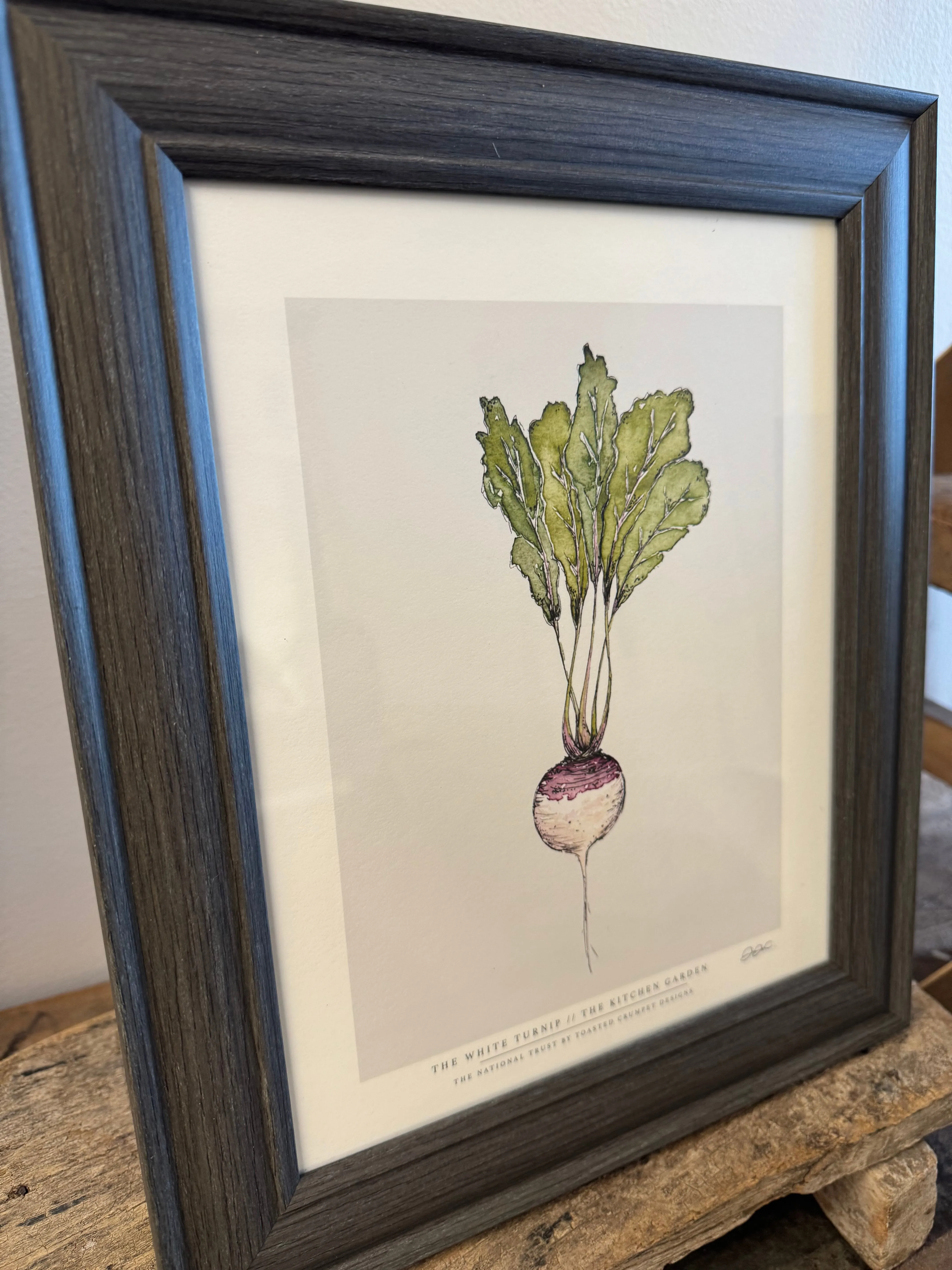 Kitchen Garden Fine Art Print