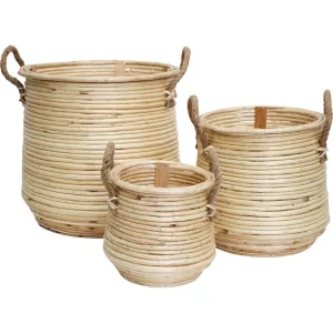 Miley Baskets