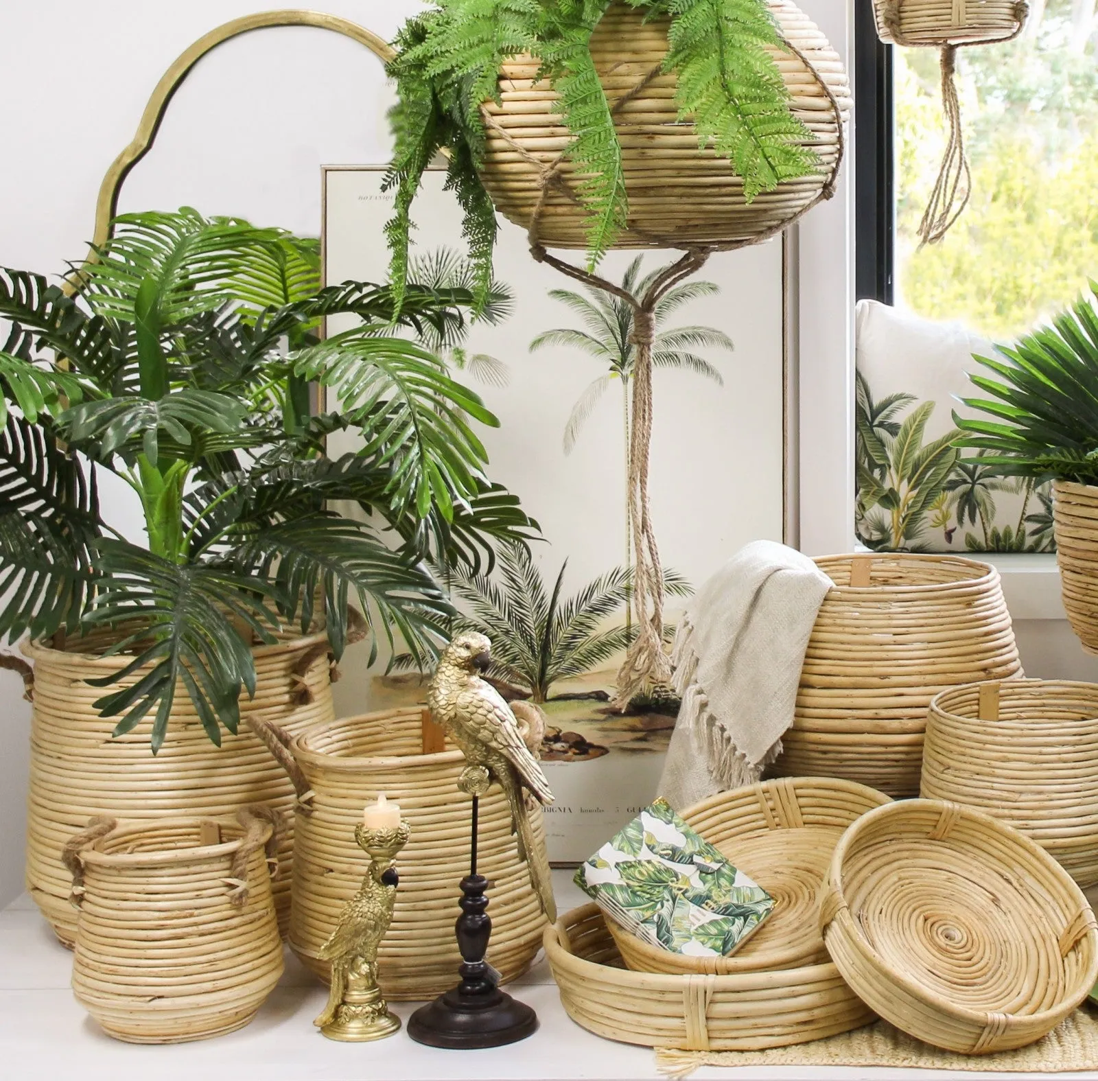 Miley Baskets