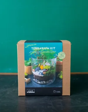 Terrarium Kit - Large Cylinder