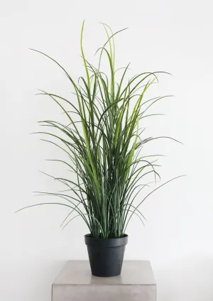 UV Treated Artificial Indoor/Covered Outdoor Potted Grass Plant - 38"
